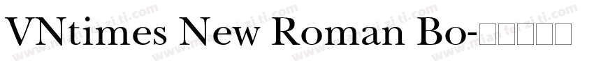 VNtimes New Roman Bo字体转换